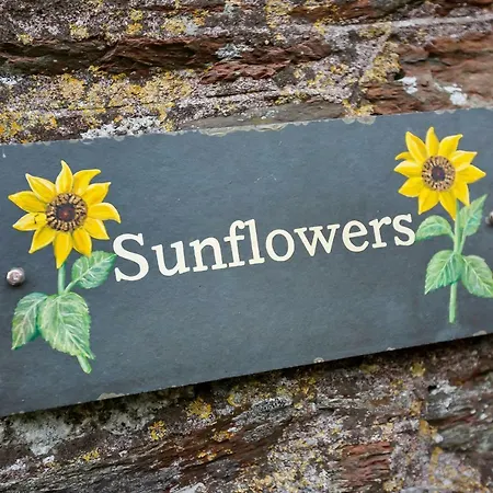 Sunflowers Barn Vakantiehuis Looe